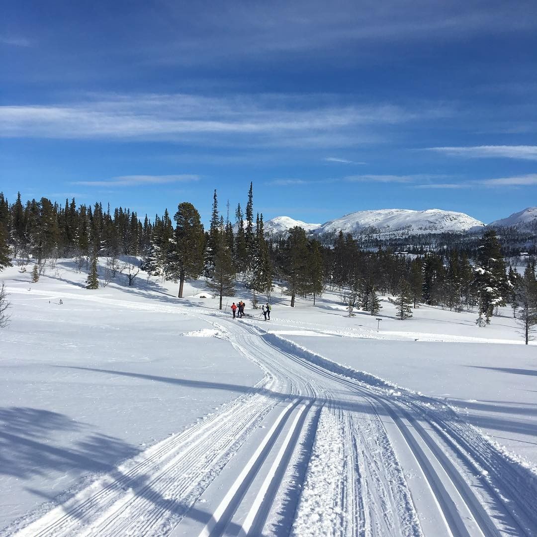 Preparerte skiløyper
